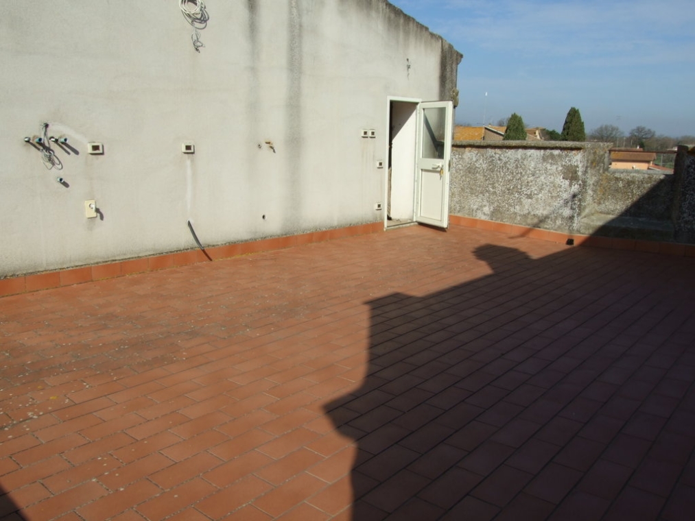 DSCF5143 (FILEminimizer).JPG